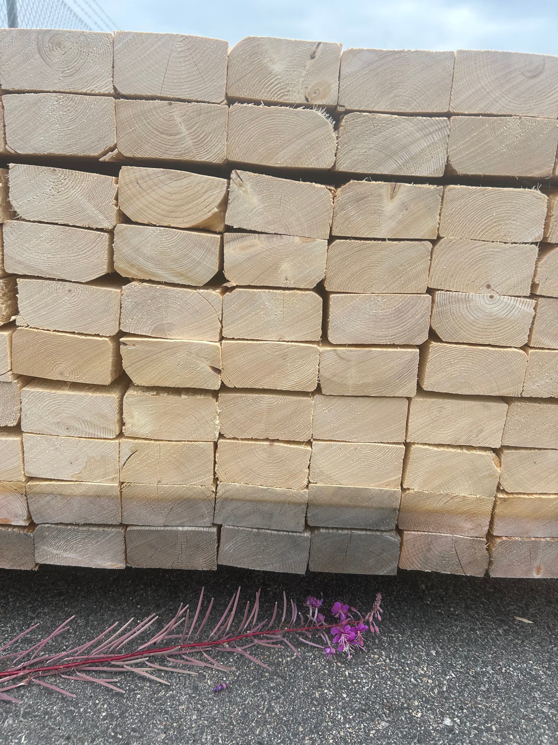 Paket Reglar 45x90mm 4,20m 120st Ohyvlat
