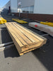 Spårpanel 13x120 Furu  Mögel