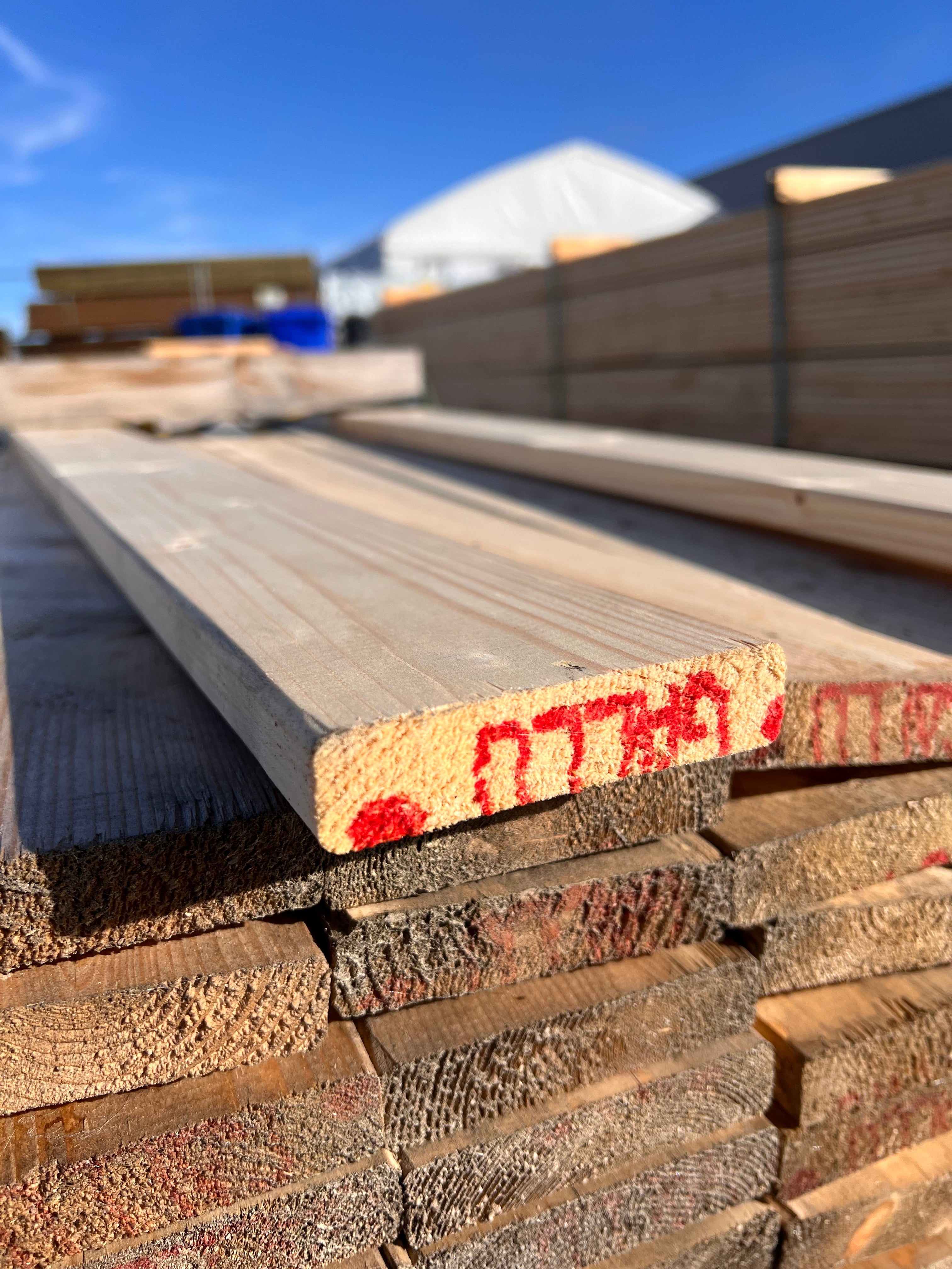 Paket Trall Gran 22x95mm, 81st 5,40m