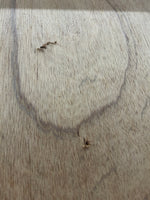 Dörr 118,5 × 208,5 cm (12×21) – Höger, begagnad