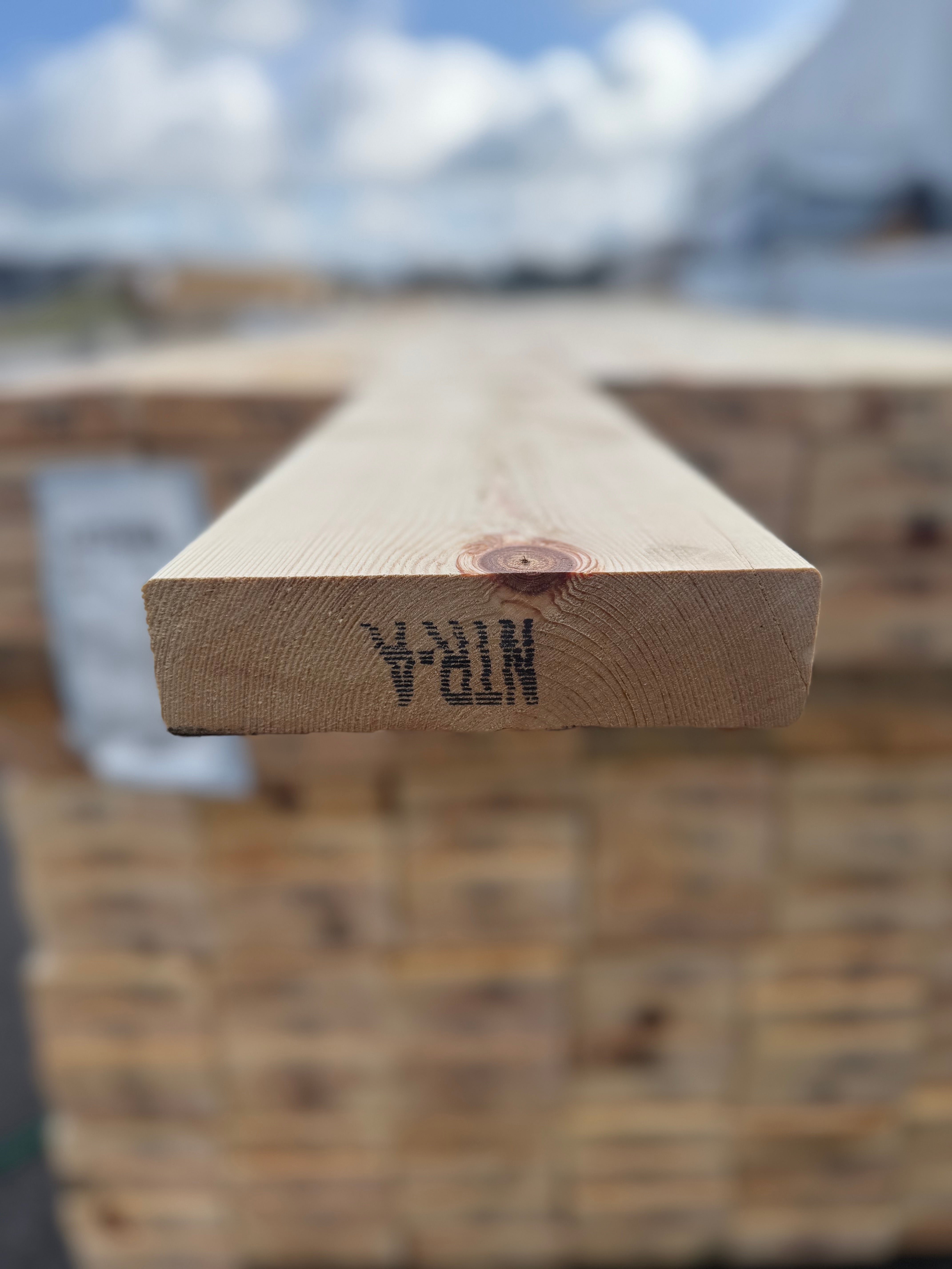 Regel 45x170mm Furu