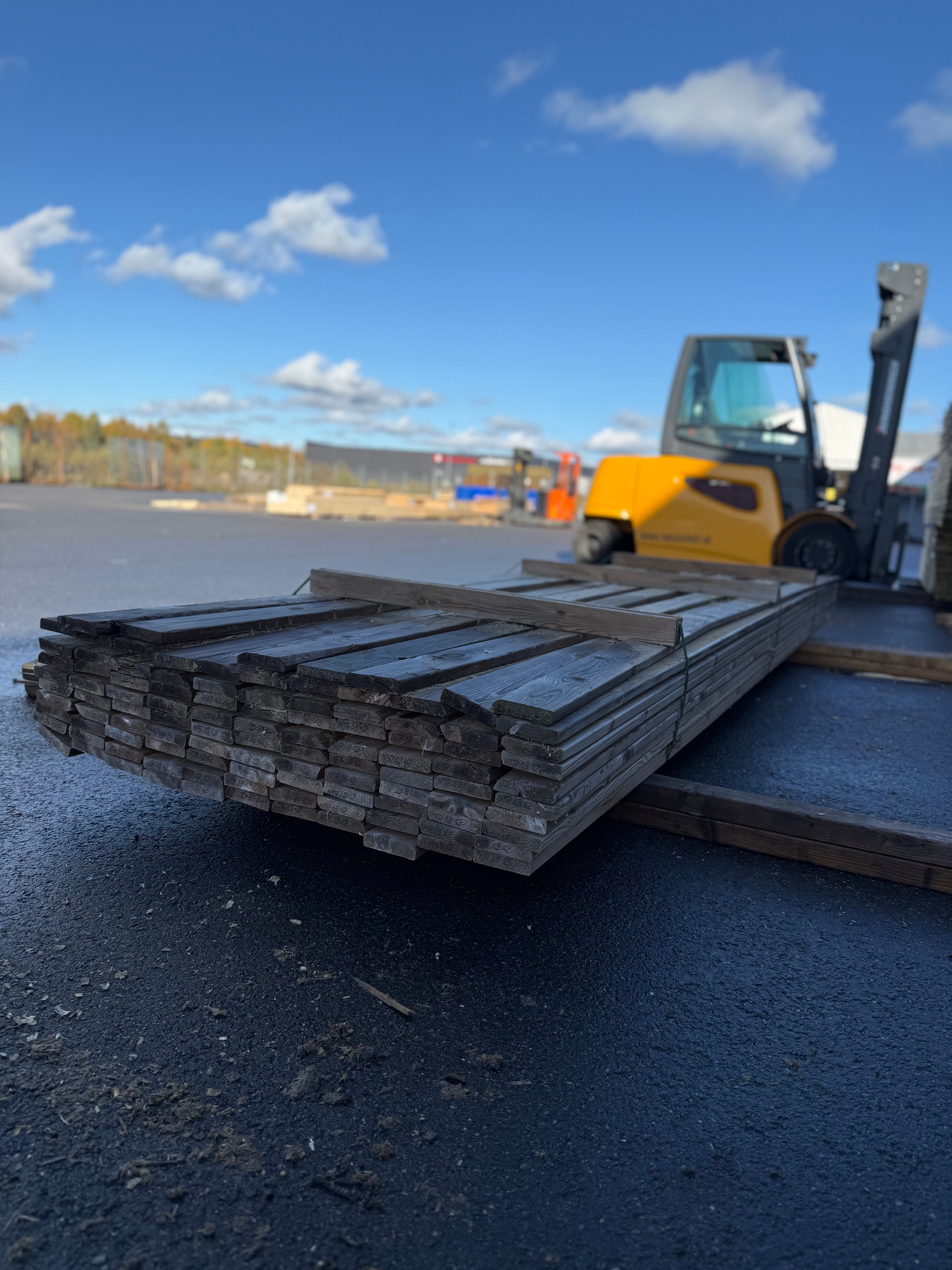 Paket Tryckimpregnerad Trall 22x95mm, 106st 4,20m