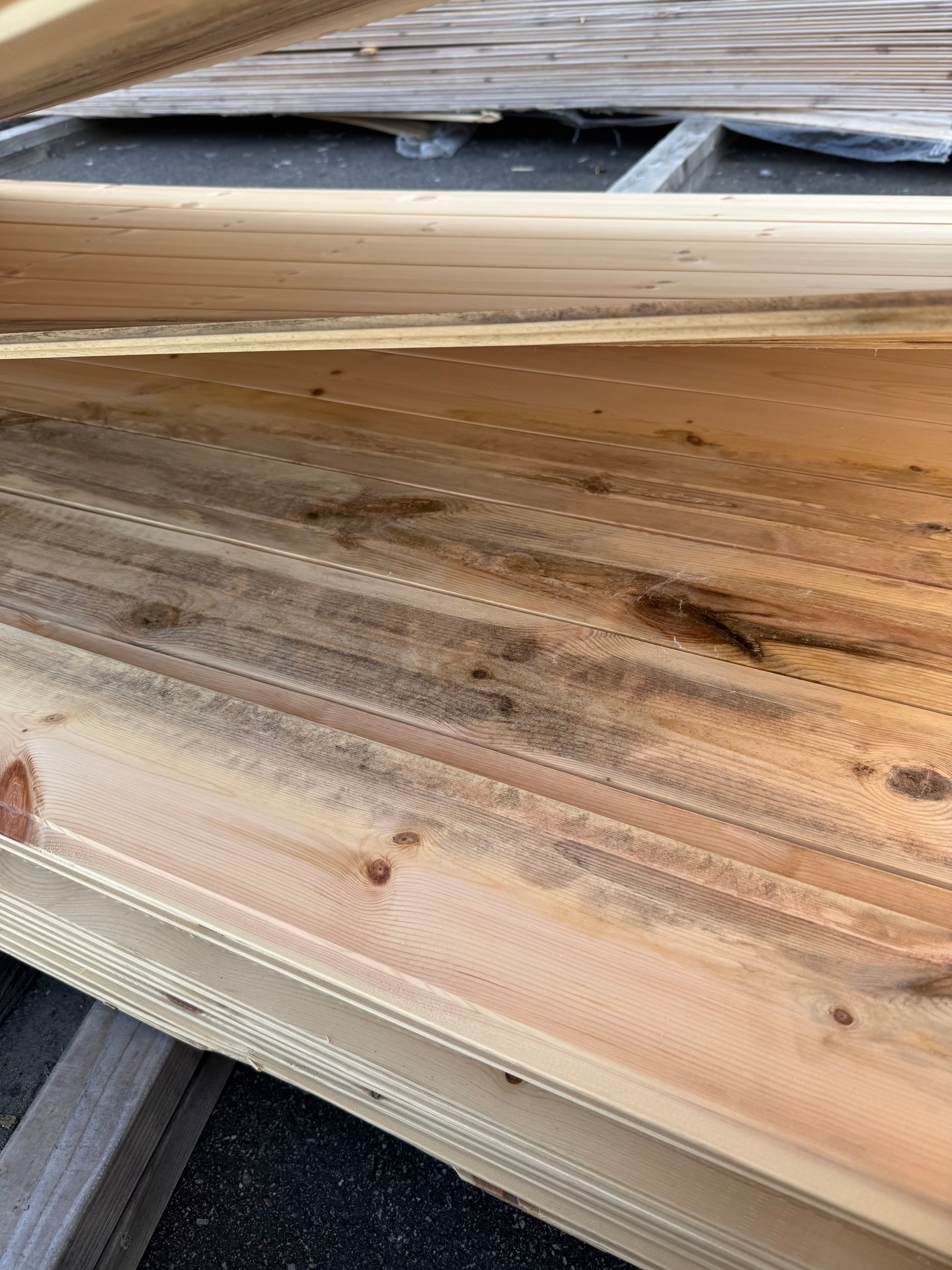 Spårpanel 13x120 Furu  Mögel