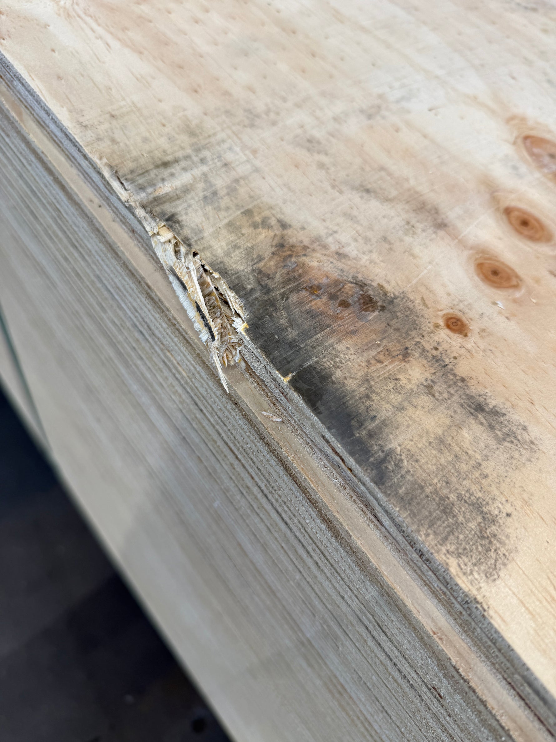 PLYWOOD SKIVOR- 12x1220x2440MM