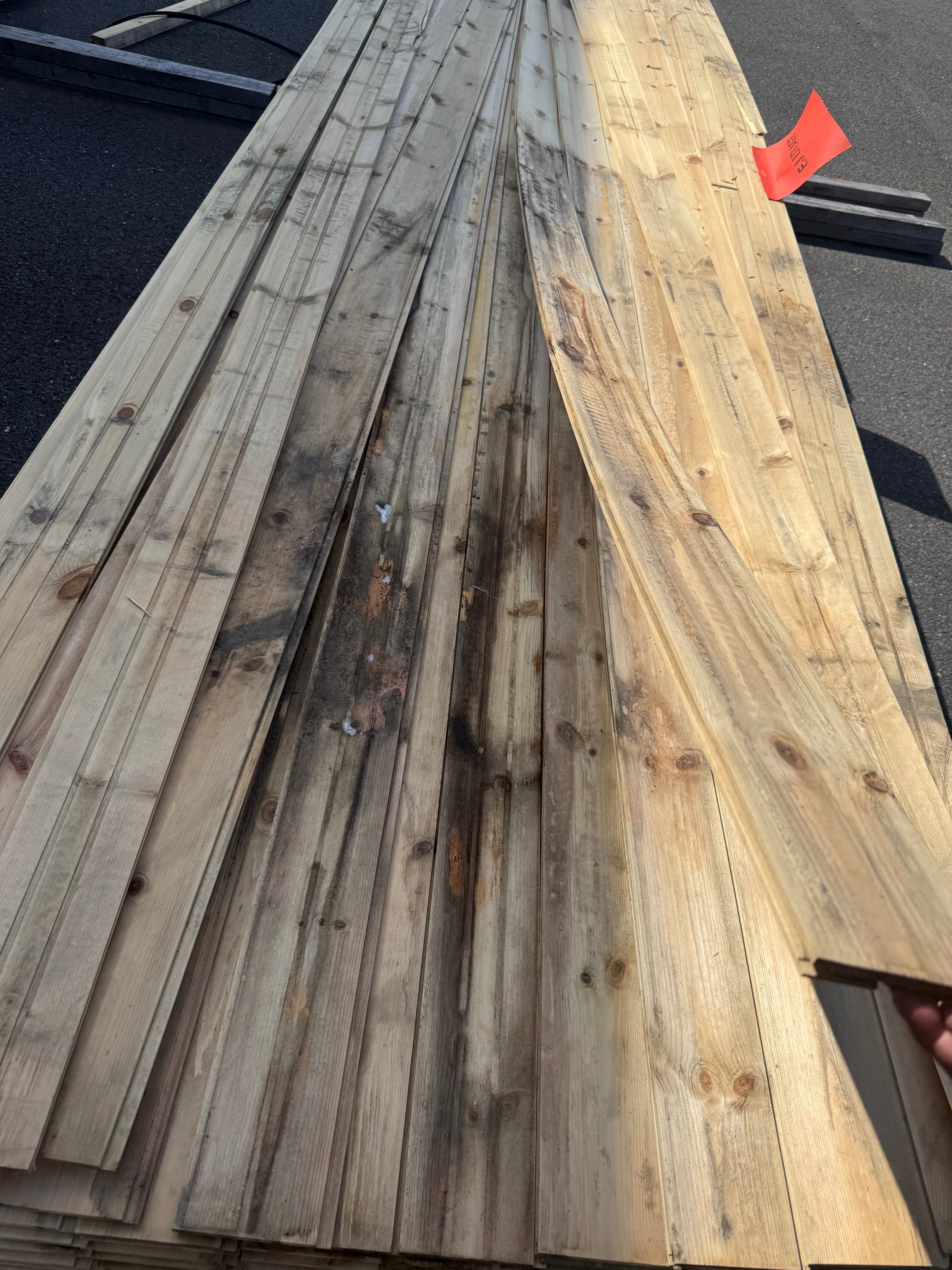 Spårpanel 13x120 Furu  Mögel