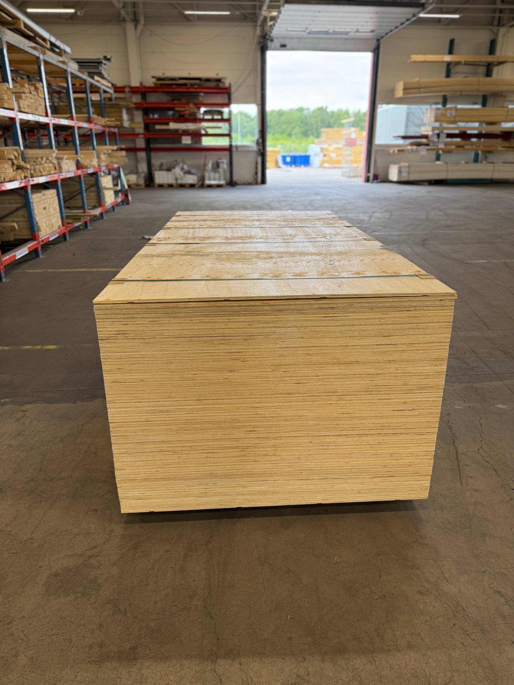 PLYWOOD SKIVOR- 12x1220x2440MM