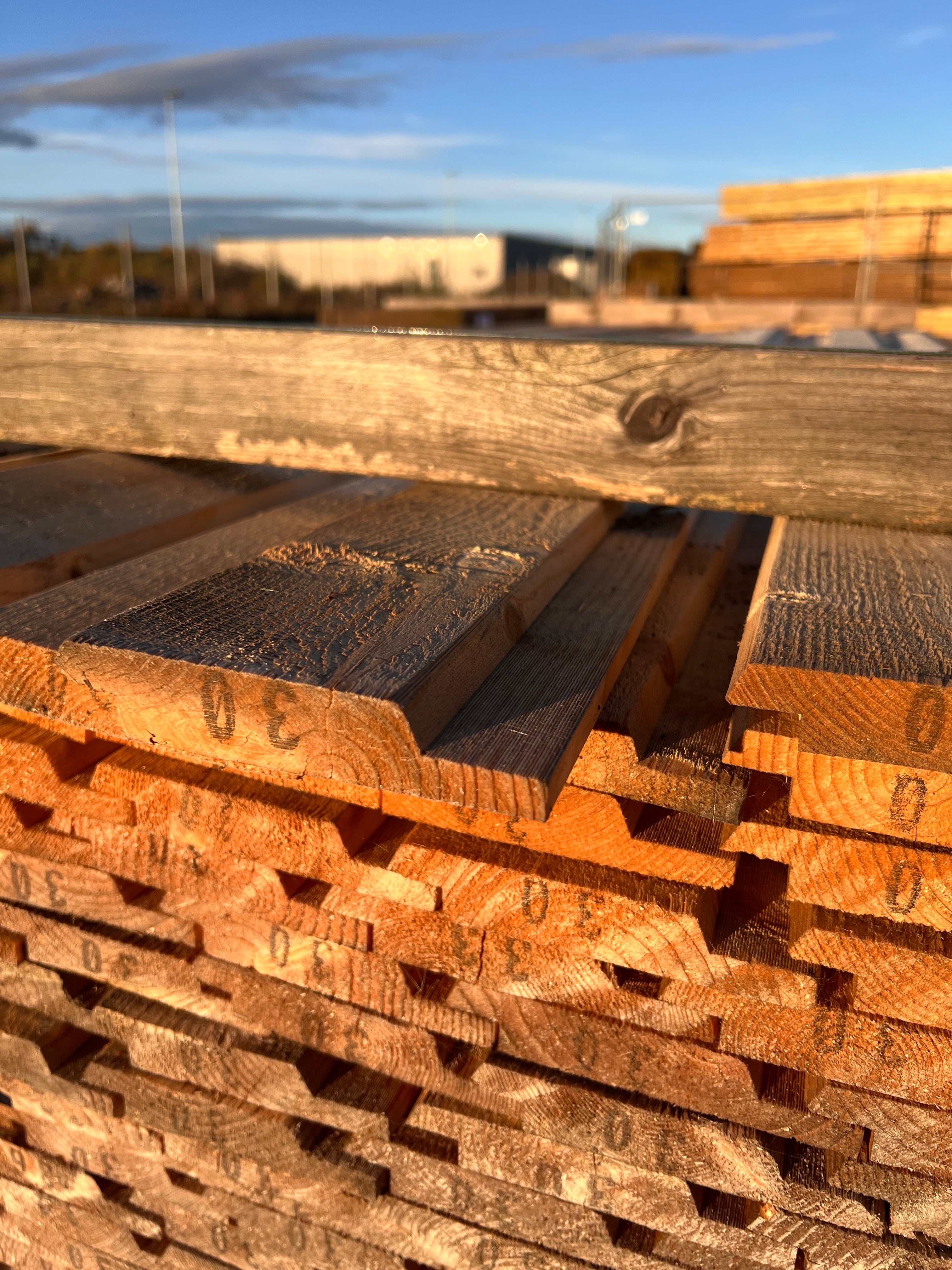 Paket Falspanel 22x120mm, 250st 3,00m (Mögel)