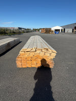 Paket Dubbelfasspont 22x145mm 5,40m 182st Obehandlade