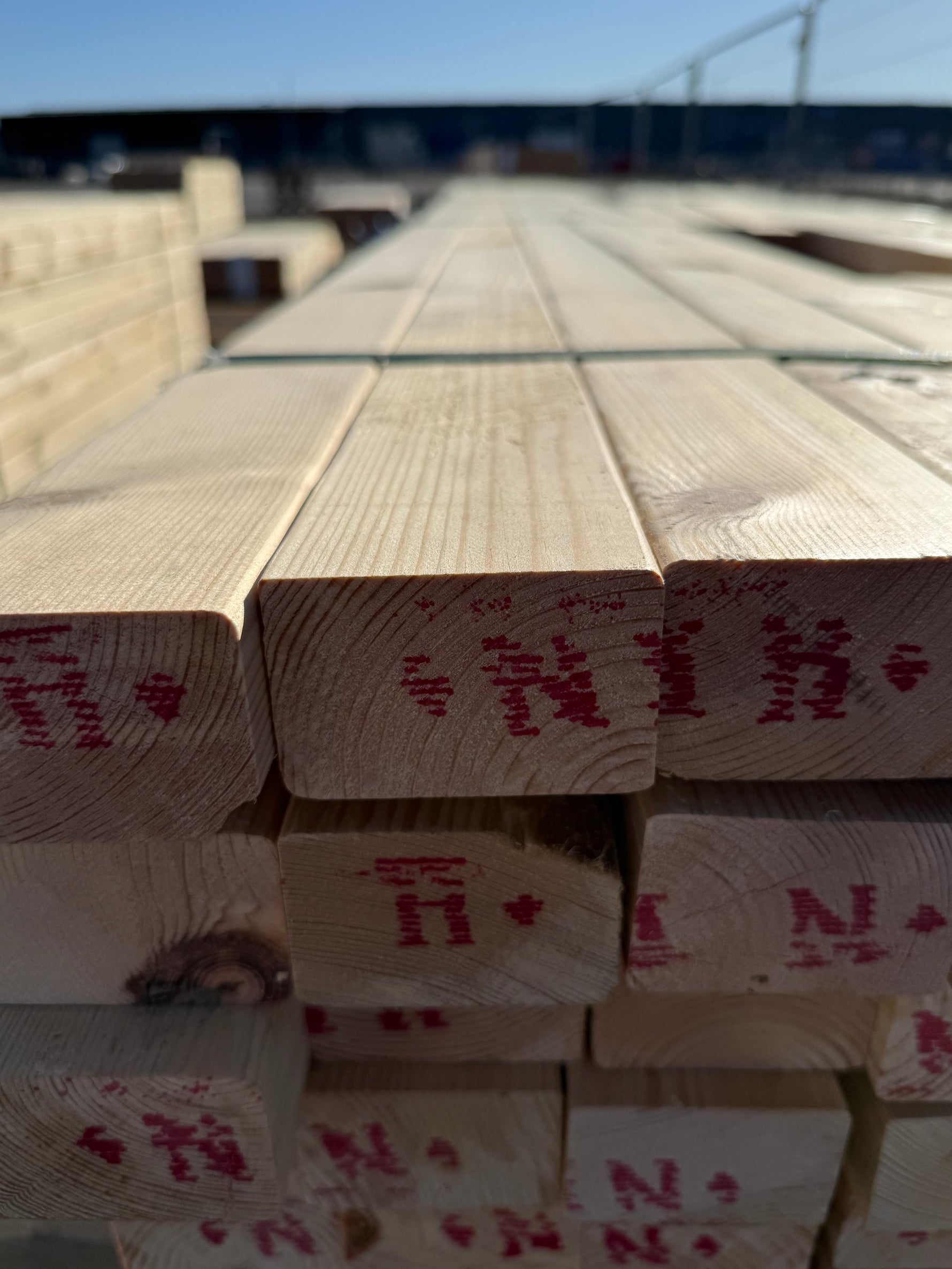 Paket Reglar 48x73 mm – 204 st (furu)