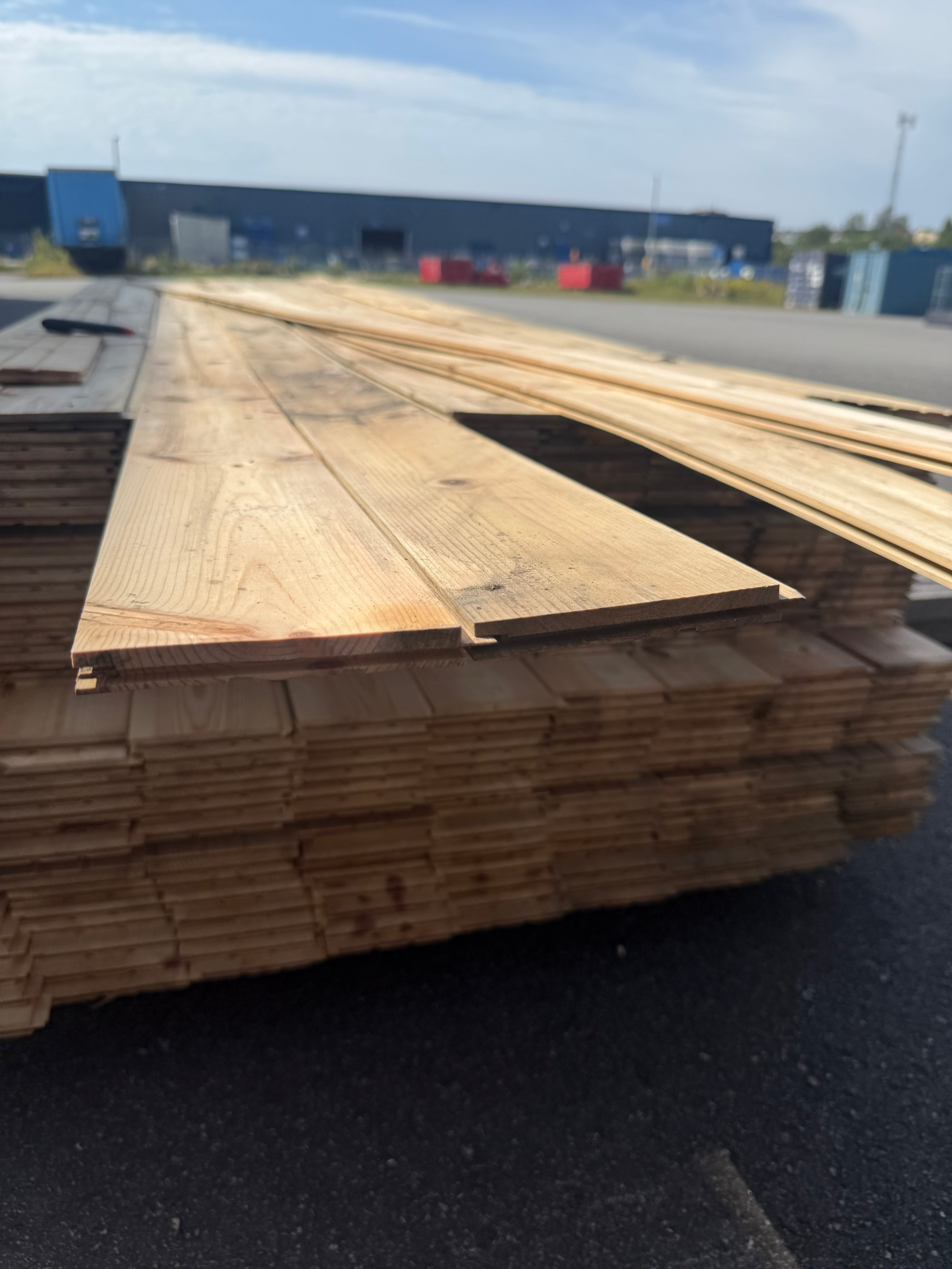 Spårpanel 13x120 Furu  Mögel