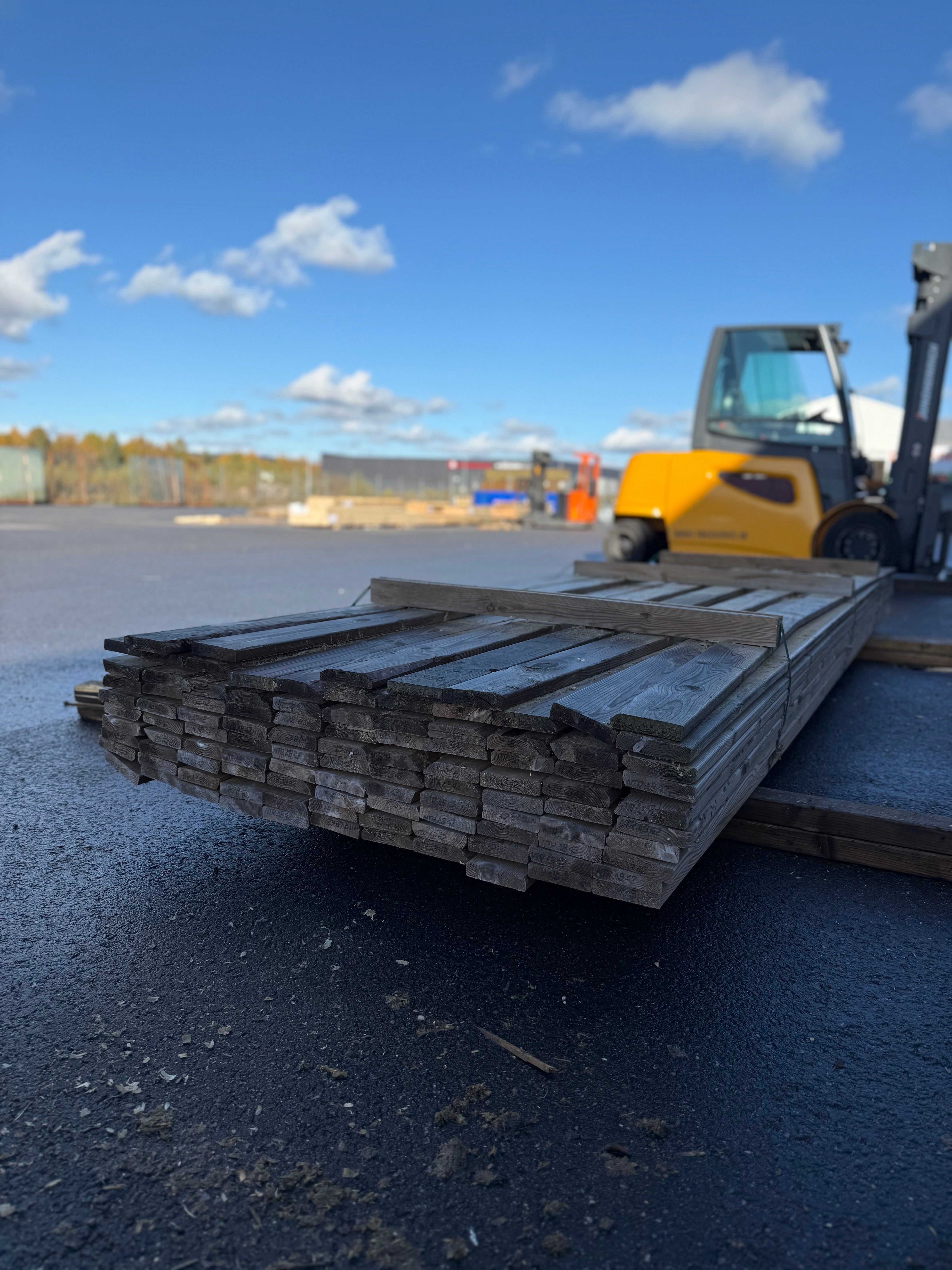 Paket Tryckimpregnerad Trall 22x95mm, 106st 4,20m