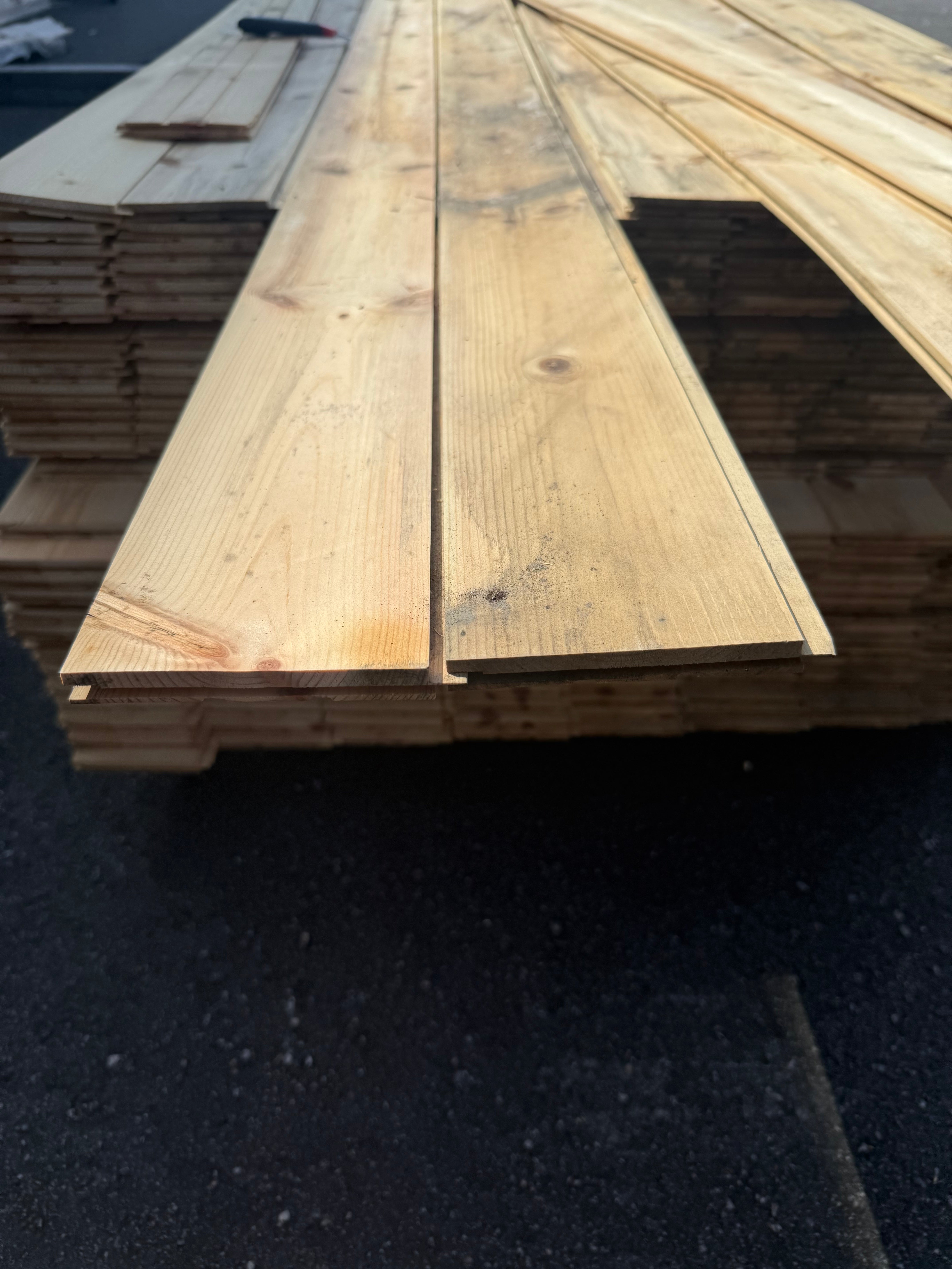 Spårpanel 13x120 Furu  Mögel