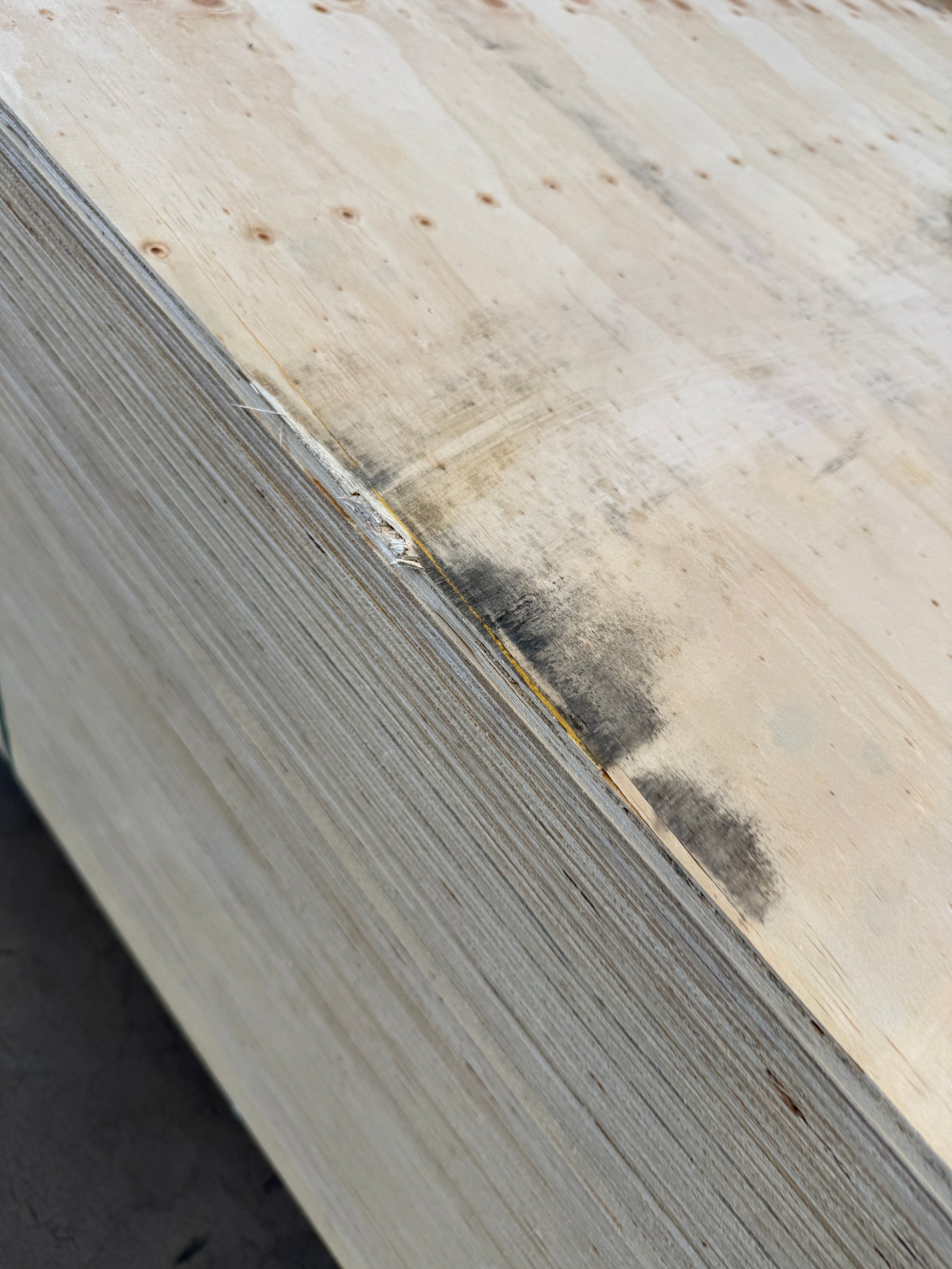 PLYWOOD SKIVOR- 12x1220x2440MM