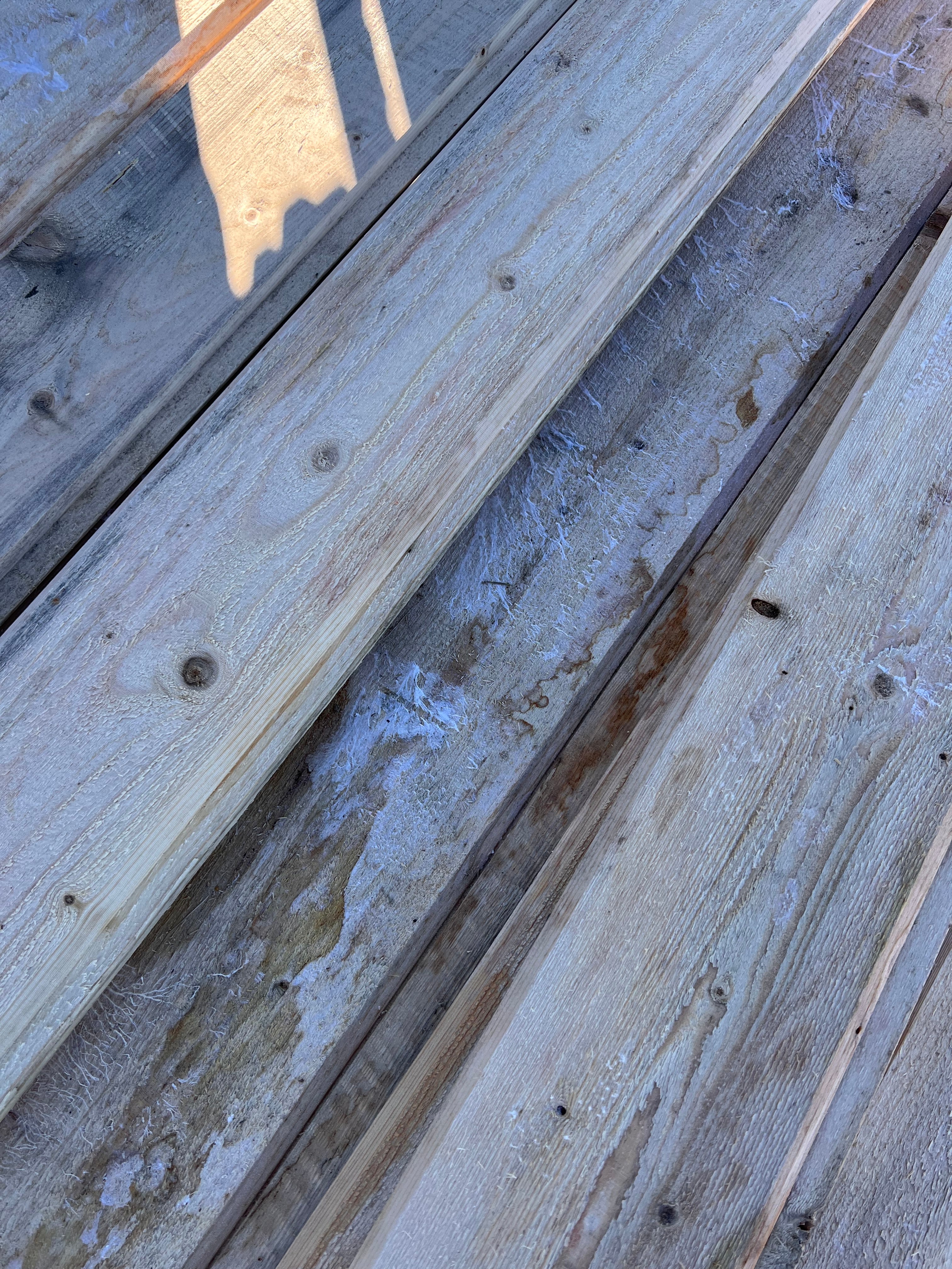 Paket dubbelfas halvspont 22x145mm, 21st 4,20m (Fuktskadat)