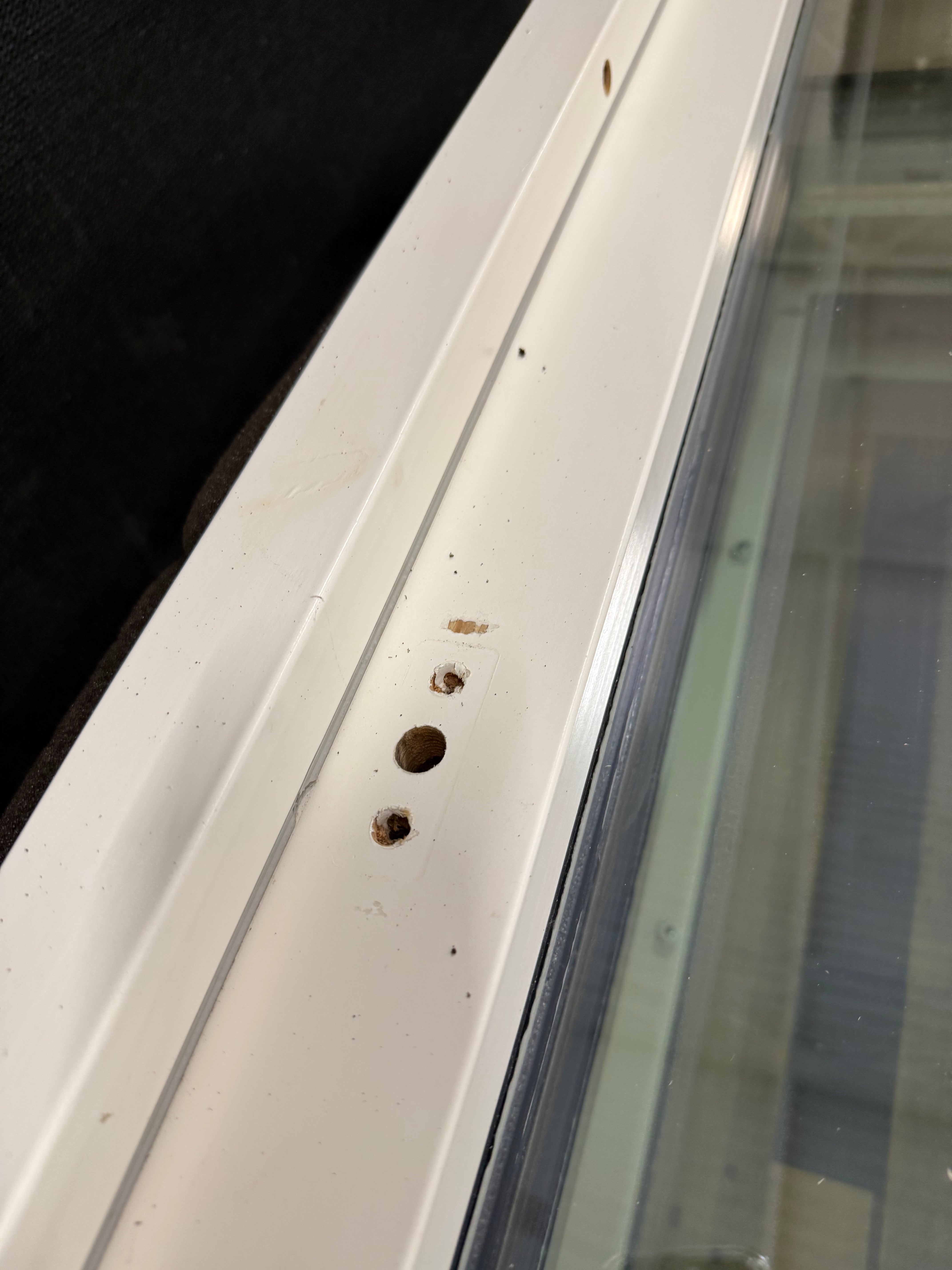 Begagnad Altandörr Glas (Utan handtag) (Bra skick)