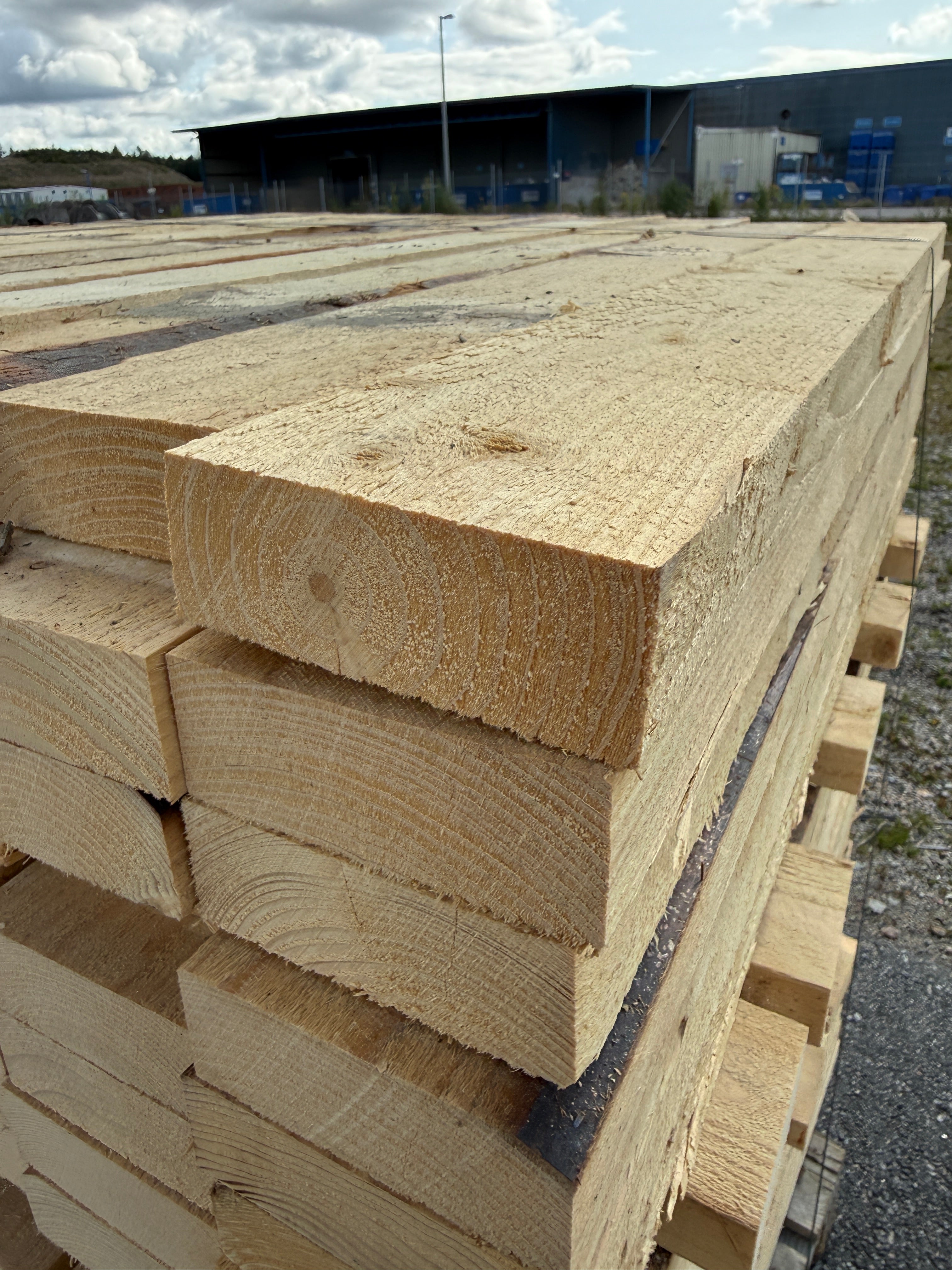 Bild alt-text
